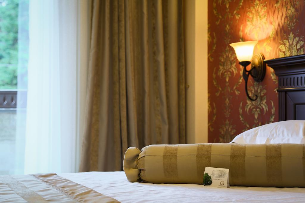 סינאיה Hotel Foisorul Cu Flori חדר תמונה